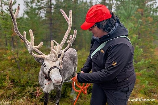 Claudia's Reisebericht: Ylläs im Sommer & Herbst: