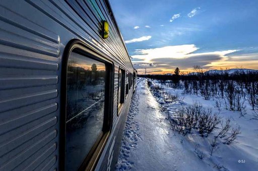 Mit dem Arctic Train zur Hundeschlittentour!