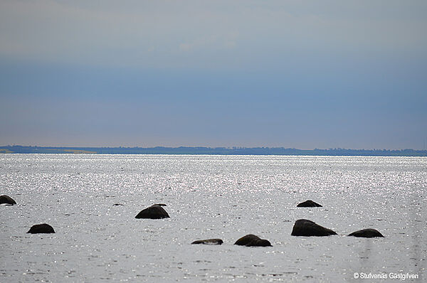 Umweltfreundliche Gastgeber in Småland