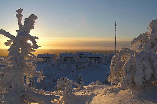 Iso Syöte Rentiersafaris GUIDE