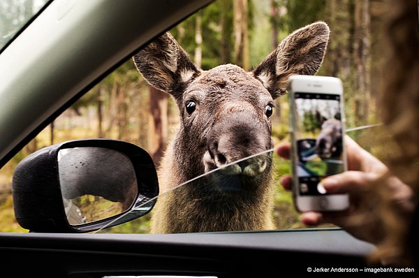 Sunnycars Mietwagen - Alles mit dabei!
