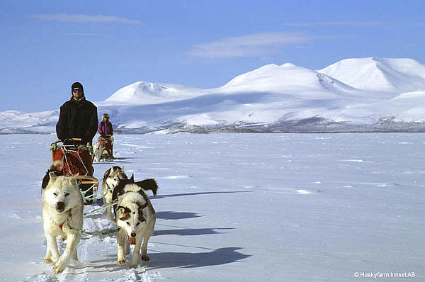 Vorbildliche Hundehaltung auf der Huskyfarm Innset