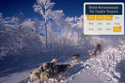 Wann ist die beste Reisezeit für eine Huskytour?