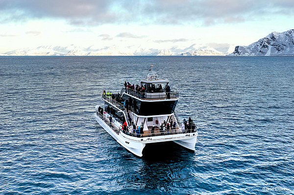 Bodø Aktiv GUIDE