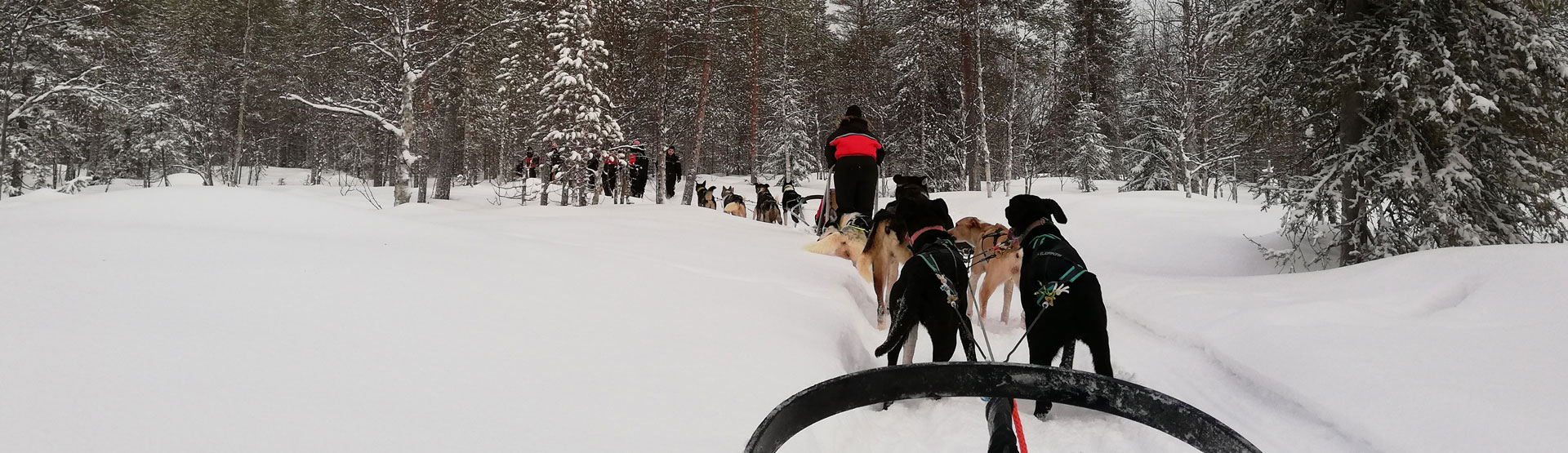 Sarah's Reisebericht Finnisch Lappland