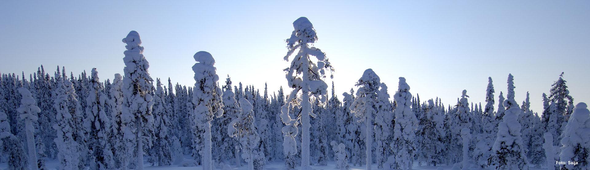 Finnland Winterurlaub: Herrliche Reisen vom Experten!