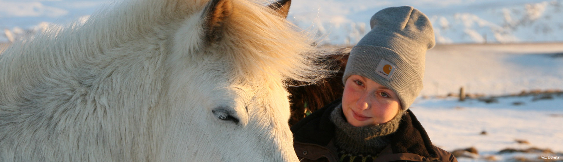 Fantastische Winter Reiterreisen in Südwestisland